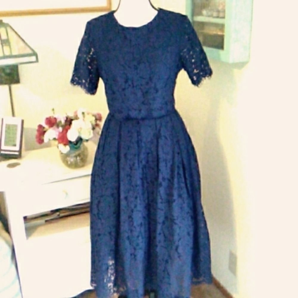 Maniju Navy Blue Guipure Lace Dress
